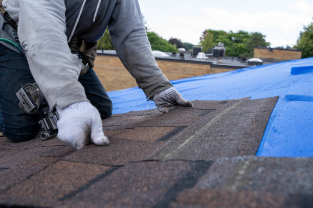 Best Metal Roofing Contractor  in Cambridge, MD