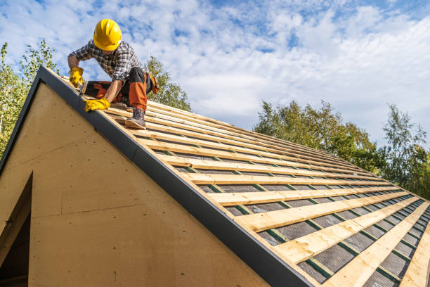 Best Roof Gutter Cleaning  in Cambridge, MD